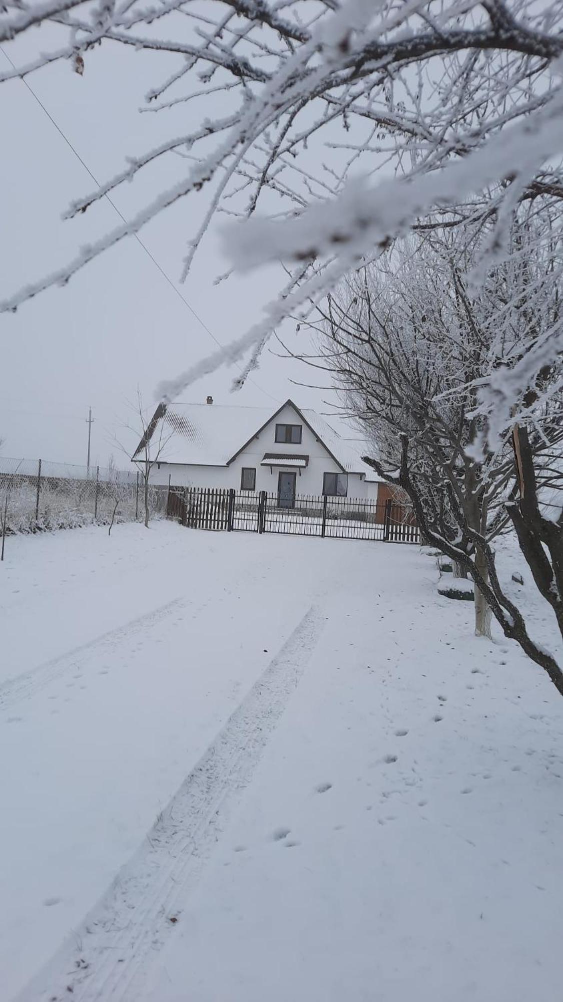 Casuta Din Deal Târgu Neamţ Exterior foto